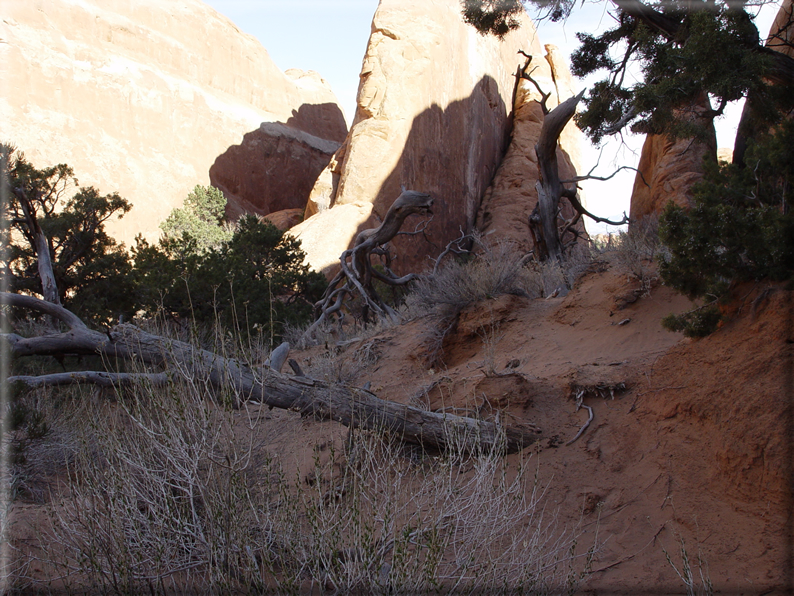 foto Arches Park